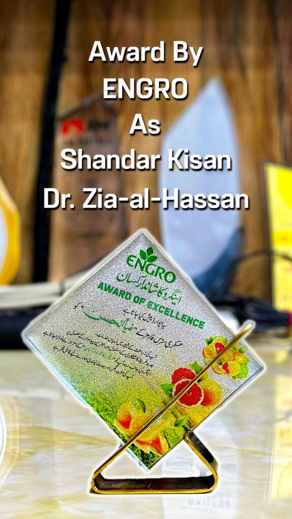 Engro Ka Shandar Kisan Award To Zia-al-Hassan By Exngro Fertilizers For Best Citrus Farming In Area