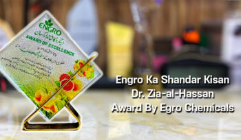 Engro Ka Shandar Kisan Award To Zia-al-Hassan By Exngro Fertilizers.Com For Best Citrus Farming In Area