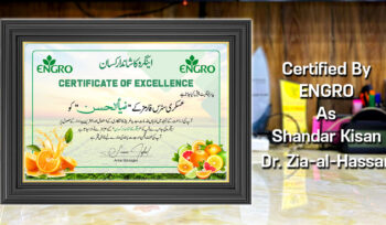 Engro Ka Shandar Kisan Certificate To Zia-al-Hassan By Exngro Fertilizers