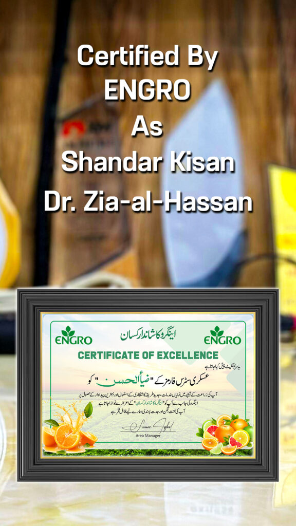 Engro Ka Shandar Kisan Certificate To Zia-al-Hassan By Exngro Fertilizers