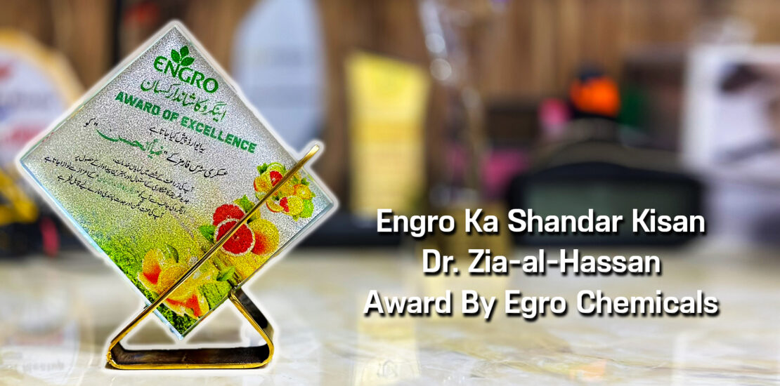 Engro Ka Shandar Kisan Award To Zia-al-Hassan By Exngro Fertilizers.Com For Best Citrus Farming In Area