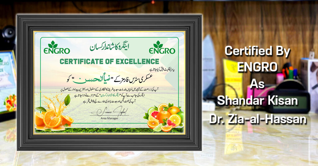 Engro Ka Shandar Kisan Certificate To Zia-al-Hassan By Exngro Fertilizers