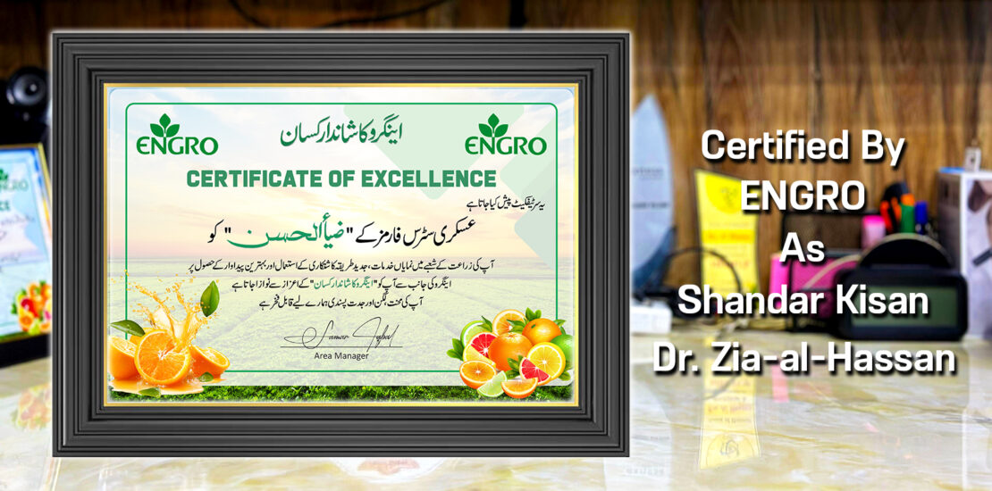 Engro Ka Shandar Kisan Certificate To Zia-al-Hassan By Exngro Fertilizers