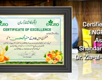 Engro Ka Shandar Kisan Certificate To Zia-al-Hassan By Exngro Fertilizers